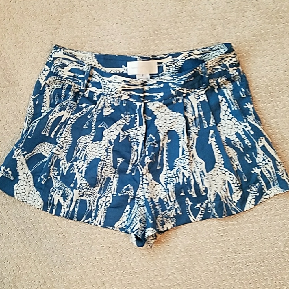 Anthro Rift Valley Shorts - Picture 2 of 4